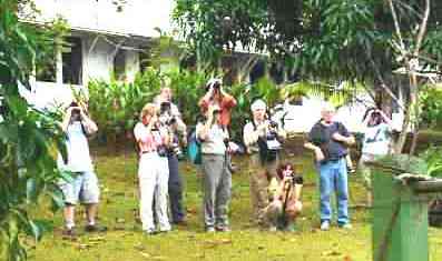 Birders and photographers at work...Birdwatchers looking for the Snail Kite at the Caribbean Site north entrance of the Panama Canal Gatun Lake Colon by boat tour, Central birdwatching tours, bird checklists, birdlist, tropical rainforest birds and nature photography tour, expert guides and guiding, bierding hot spots, bird watching birds, birdwatcher going birding, finding birds in panama, bird diversity, zone birding.