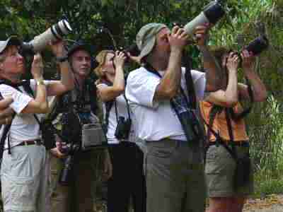 Birders and photographers at work...Birdwatchers looking for the Snail Kite at the Caribbean Site north entrance of the Panama Canal Gatun Lake Colon by boat tour, Central birdwatching tours, bird checklists, birdlist, tropical rainforest birds and nature photography tour, expert guides and guiding, bierding hot spots, bird watching birds, birdwatcher going birding, finding birds in panama, bird diversity, zone birding.