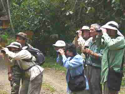 birdwatchers at work