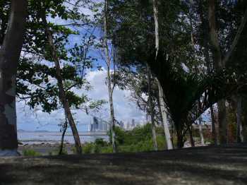 A view of Punta Pacifica from Costa del Este
