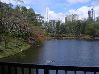  Lake birding site in the city of Panama