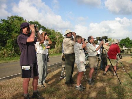 group of birders