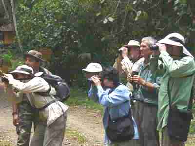 Birdwatchers looking for the Snail Kite at the Caribbean Site north entrance of the Panama Canal Gatun Lake Colon by boat tour, Central birdwatching tours, bird checklists, birdlist, tropical rainforest birds and nature photography tour, expert guides and guiding, bierding hot spots, bird watching birds, birdwatcher going birding, finding birds in panama, bird diversity, zone birding.